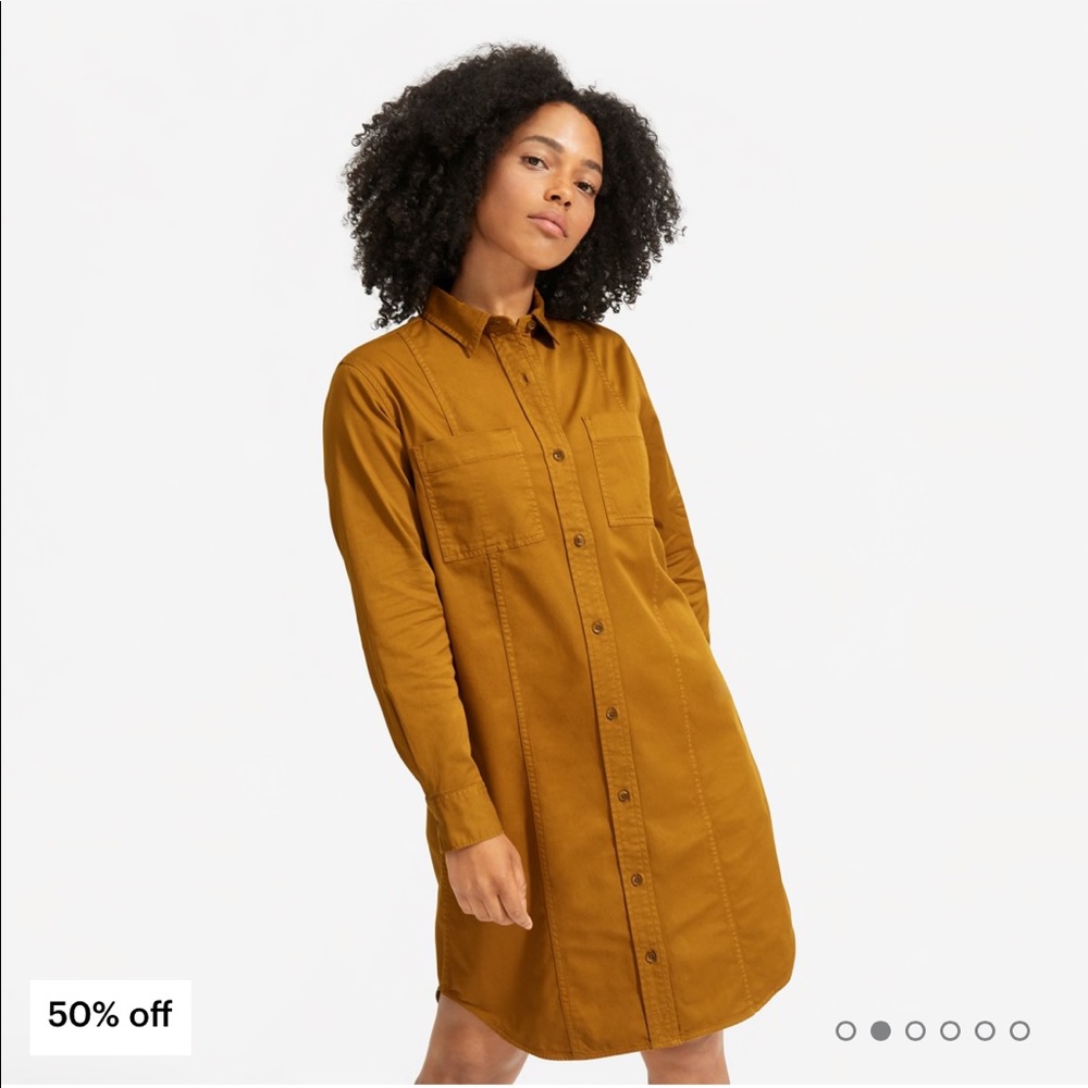 Everlane dress